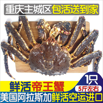 Chongqing 1 Alaskan king crab imported from the United States wild oversized crab fresh live deep sea crab about 5 kg