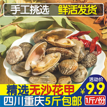 Huajiao fresh 1 kg clams Clams clams clams Small seafood Aquatic flower shellfish Huajiao rice noodles Chongqing Sichuan