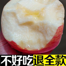 85#无蜡10斤装山东烟台栖霞红富士苹果甜脆吃的包邮新鲜水果送礼