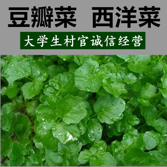 10 现价:7元 月售 6件 购物 直达链接 来自:淘宝-大汉农庄
