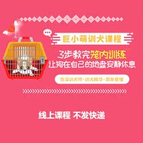 Giant little cute pet training dog training course dog training course dog training tutorial dog dog cage in and out cage training