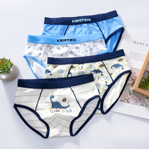 Boy Triangle Briefs Children Pure Cotton Pants Head 5 Middle Boy 6 Boy 7 CUHK Boy 8 Little Boy 10 All cotton 4-12 years old