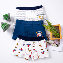 Boy pure cotton briefs 12 Children flat angle shorts boy 13 CUHK Scout pants 14 No marks 4-15 years 10