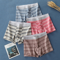 Teenagers junior high school student mens underwear 12 pure cotton 13 flat angle 14 antibacterial 15 Four corner shorts 11-18 years old