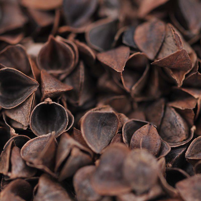 麦迪生内蒙赤峰散荞麦壳 苦荞麦皮甜荞麦皮 6斤送内胆 五折包邮