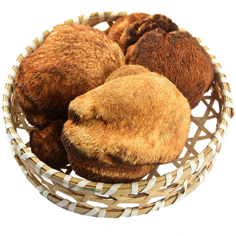 猴头菇 猴头菌 干货 供应长白山 散装 中药材 500克50元包邮_7折现价