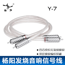 YYAUDIO Yang Yang double Lotus head audio line HiFi audio oxygen free copper silver plated speaker power amplifier signal line