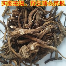 Northeast Changbai Mountain wild dandelion root dandelion tea mother-in-law Ding Genguudingen New stock 250 gr