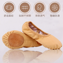 Lace-free camel dance shoes Female adult soft-soled practice shoes Childrens ballet cat claw shoes body dance shoes