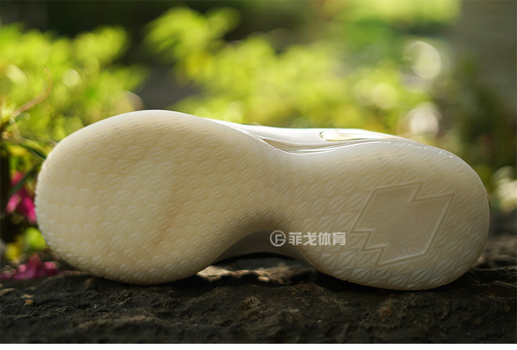 菲戈 NIKE LEBRON 15 LOW LBJ15詹姆斯低帮