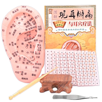 Five sets of ear model ear probe king without seed ear acupoints Ear Bean Point Acupoint Pen