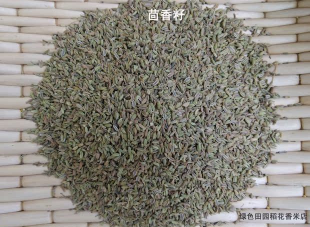 东北农家菜园大茴香蔬菜籽 阳台盆栽庭院大地种植割茬