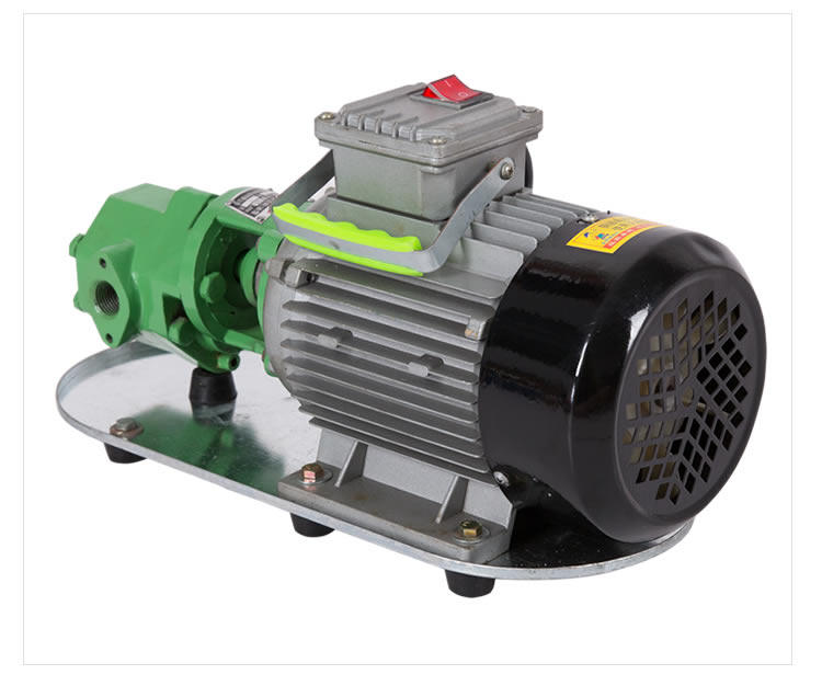 wcb齿轮泵220v电动柴油泵自吸泵机油抽油泵加油泵厂家直销 包邮