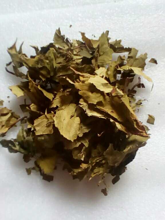 甜茶包袋泡茶2袋广西大瑶山野生甜茶精制,清热润肺祛痰止咳 茶壶