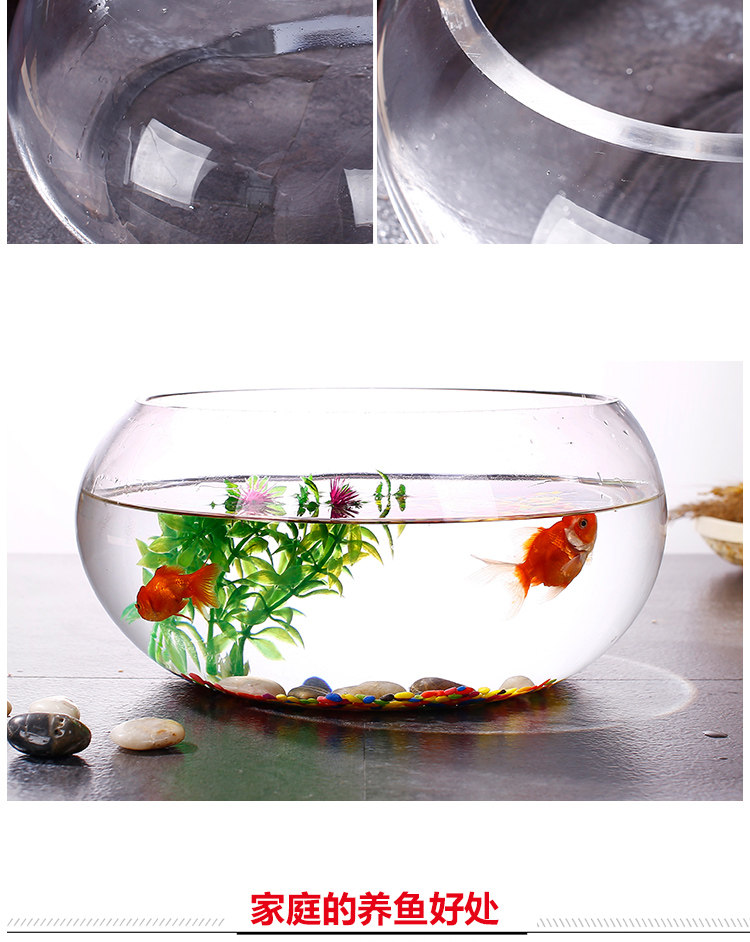 鱼缸透明玻璃中型圆形创意桌面小鱼办公室水培大号圆球金鱼乌龟缸