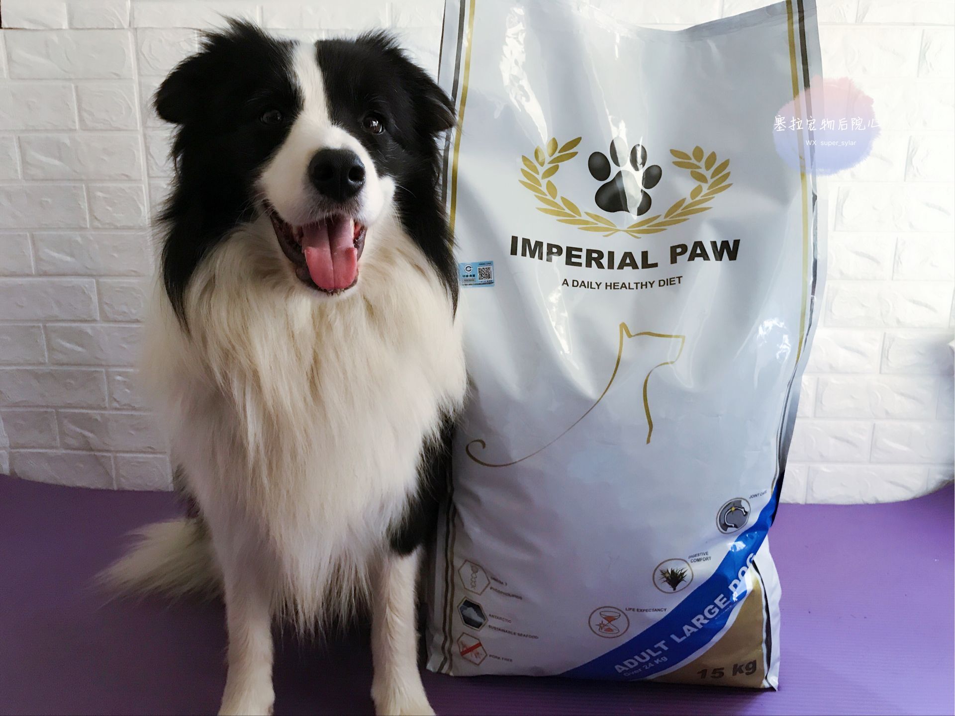 比利时原装进口欧帝亿大型犬成犬狗粮15kg塞拉专用多省包邮_7折现价
