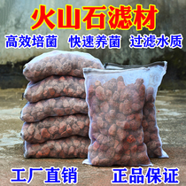 Luohan fish pond natural large large block volcanic rock filter material Koi fish pond filter material fish tank landscape volcanic rock