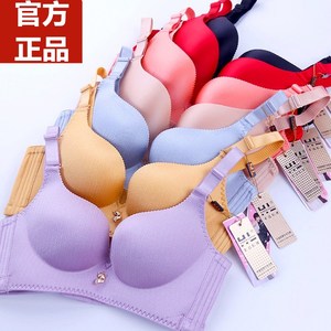 香港正品幸福狐狸内衣女无钢圈聚拢小胸薄款文胸罩调整收副乳官方