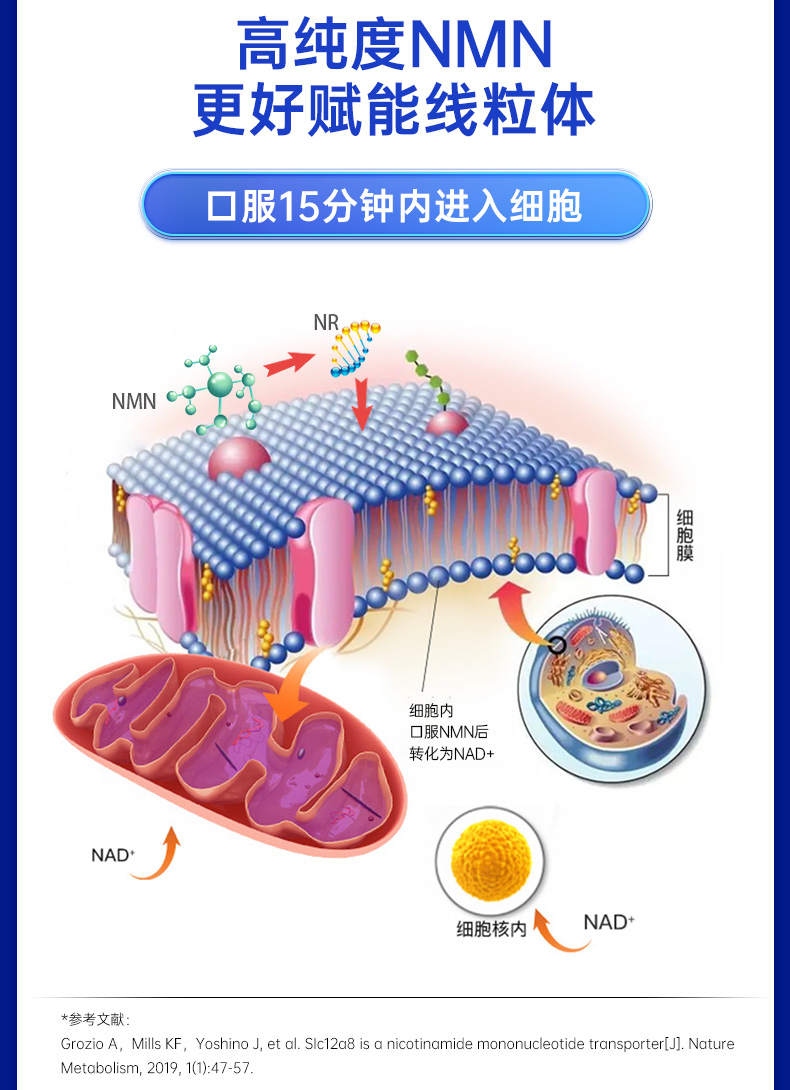 信心药业美国进口6瓶nmnβ烟酰胺