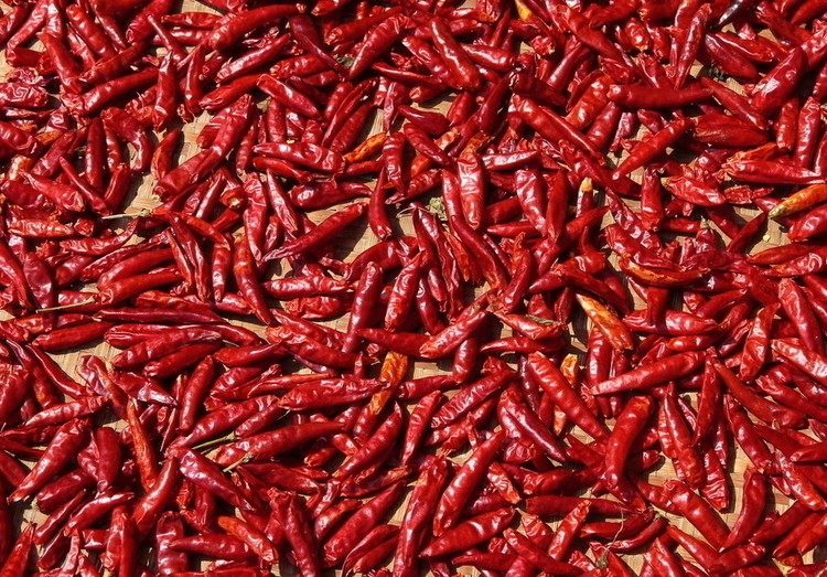 农家自晒干辣椒辣椒粉干辣椒王中辣 香料 调料 刘氏养生馆100克