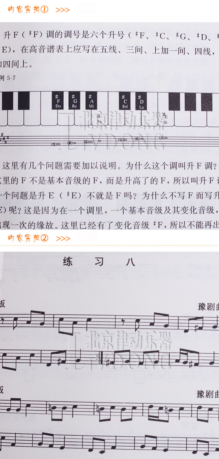五线谱入门基础教程 乐谱本 自学 从零开始学五线谱 钢琴五线谱入门
