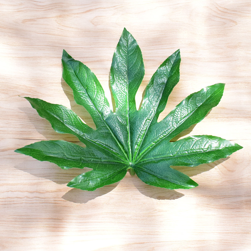 单片仿真八角金盘叶子塑料假树叶水果摊垫底绿叶装饰插花绿色植物