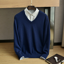 2020 autumn and winter new mens pure cashmere sweater V-neck thin business casual sweater loose knitted bottoming shirt