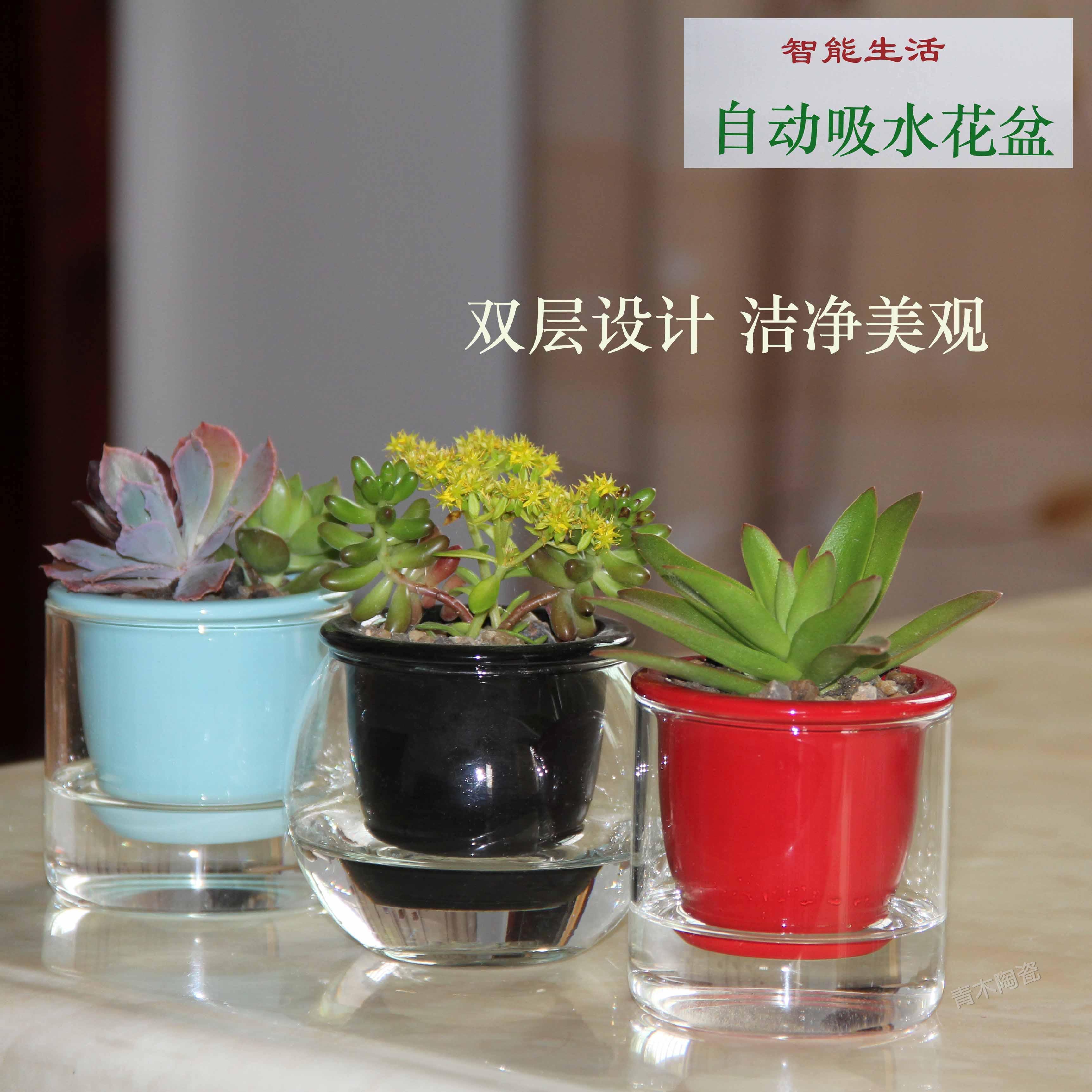 自动吸水花盆 懒人花盆 玻璃水培绿萝花盆 免浇水花盆