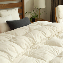 Soft to outrageous quilt winter cotton thickened warm winter quilt spring and autumn double winter quilt core 8 10kg