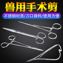 Veterinary surgical scissors stainless steel scissors belt scissors straight tip gauze scissors medical scissors hemostatic forceps