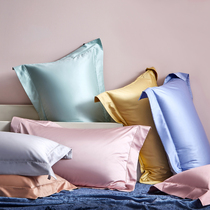 100 horse cotton alone pillowcase pure color full cotton pure cotton pair pillowcase high-end light lavish bed single product 48 * 74