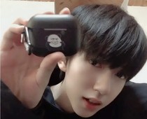 He Junlin with the same earphone shell Panda head earphone shell second generation to map custom AirPods1 2 3 insurance