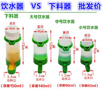 Automatic bird feeder feeder bird drinking water kettle water tank bird utensils acrylic bird drinking water