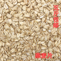 Oatmeal small parrot feed Tiger skin small sun Golden Sun Monk Senet parrot feed 500g
