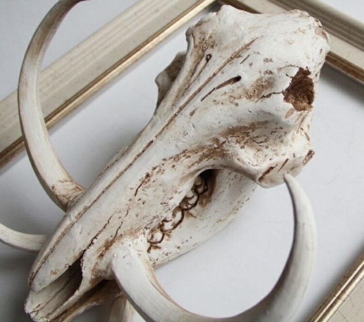 大匠风北欧美式乡村设计兽头骨家居装饰品恐龙鹿角羊角猪头骨壁饰