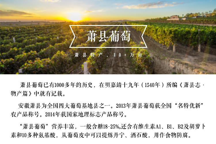 红酒荣辉臻选赤霞珠干红国产葡萄酒萧县特产单支送礼聚会新品包邮