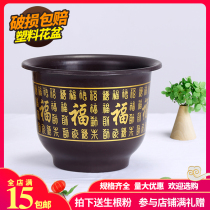 Plastic flower pot clearance treatment Special price Tree root fortune tree large flower pot planting indoor and outdoor courtyard balcony dedicated