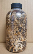 Yunnan Zhaotong Honey ring fungus cotton seed fungus Branches Fungus Gastrodia gastrodia cultivation Pig Fungus 5 Bottles Shipped