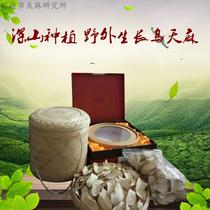 Zhengzong Special Class Yunnan Zhaotong Small Grass Dam Imitation Wild Ugastrodiae Selected Air-dried Gastrodia Tuber 250 gr Fresh