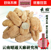 Gastrodin class Yunnan original ecological Ugastrodin Zhaotong small grass dam 500g14-17 head fresh dry goods