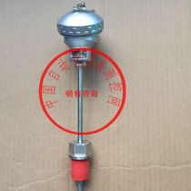 WZP-435 assembly thermal resistance fast response double support PT100 thermal resistance bending measurement