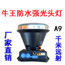 Niu King headlight A9 high power super bright long battery life LED charging head wearing strong light waterproof Searchlight outdoor 100W