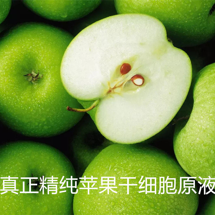 瑞士苹果干细胞原液 抗衰老去皱 提亮肤色 紧致皮肤