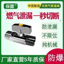 Baoting household natural gas pipeline special valve switch water heater explosion-proof automatic valve gas safety valve