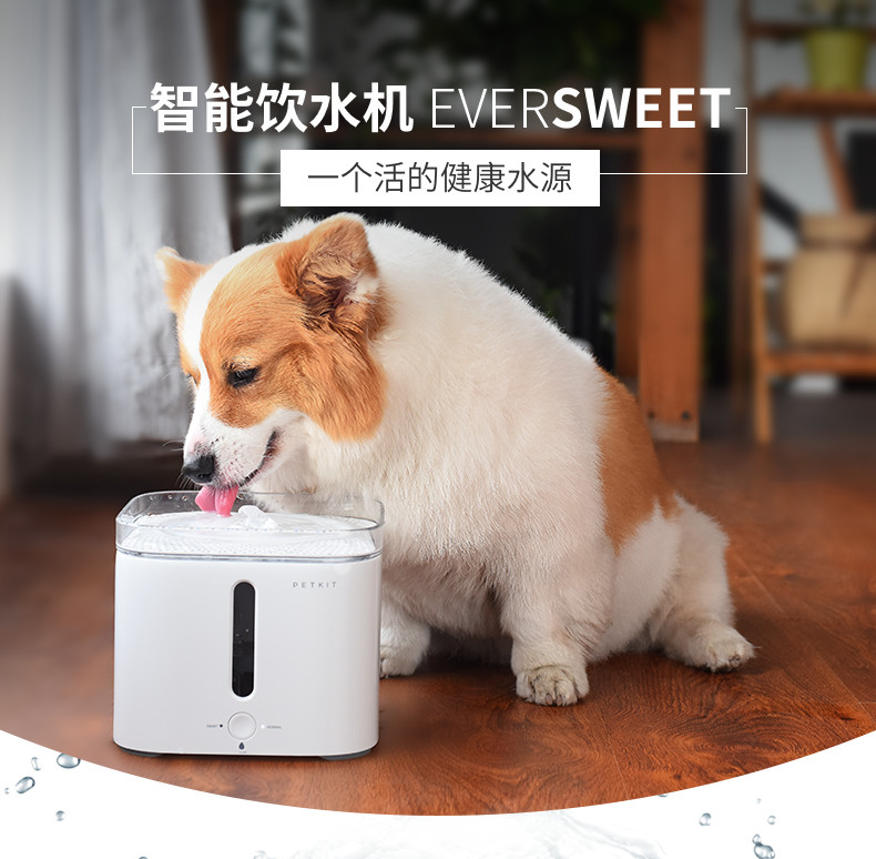 Xiaomi Petkit Smart Water Dispenser 2s