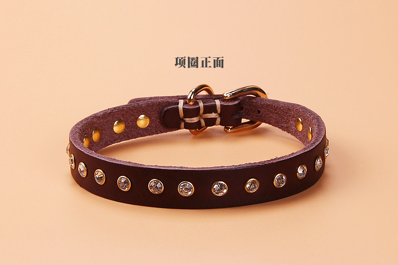 镶钻猫狗项圈小型犬狗颈圈中型犬幼犬狗脖圈博美比熊泰迪狗脖套