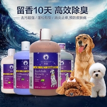 Ferets dogs bathed with dew teddy gold hair bears killing bacterial fleas to bath shampoo pet bath supplies