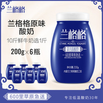 Lange 200g*6 bottles original low temperature yogurt Mongolian fresh live bacteria fermentation foam box with ice bag