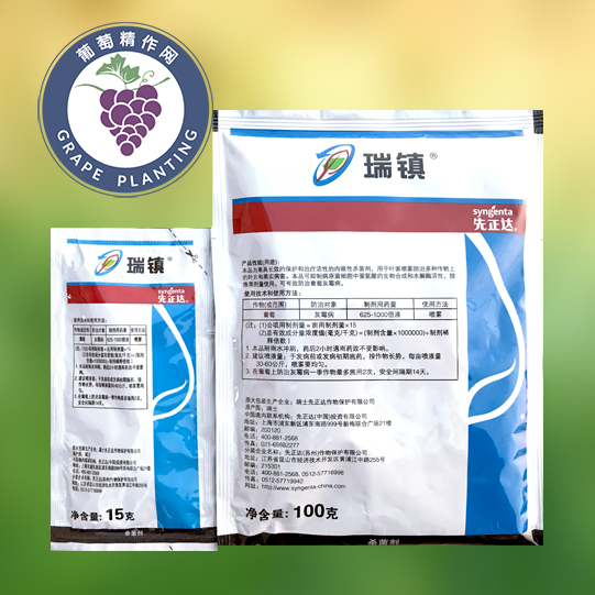 瑞士先正达 瑞镇 嘧菌环胺 葡萄草莓韭菜辣椒灰霉病杀菌剂15-100g