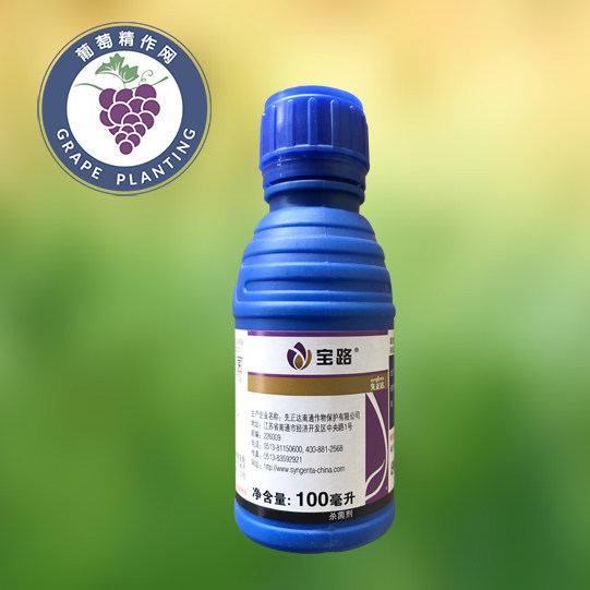 瑞士先正达 宝路 嘧菌酯咯菌腈精甲霜灵 棉花猝倒病立枯病杀菌剂